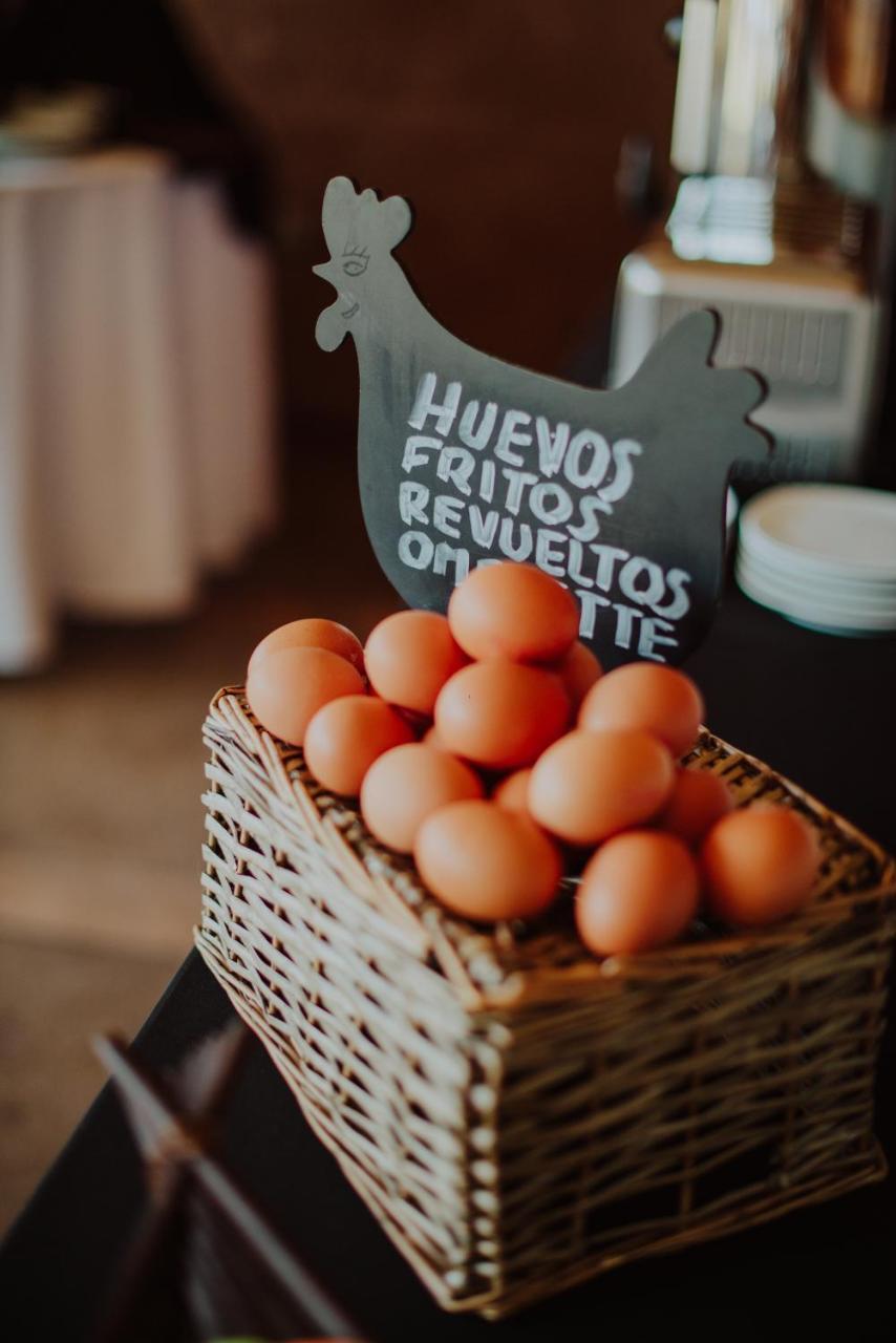 Hotel Limari Ovalle Eksteriør bilde